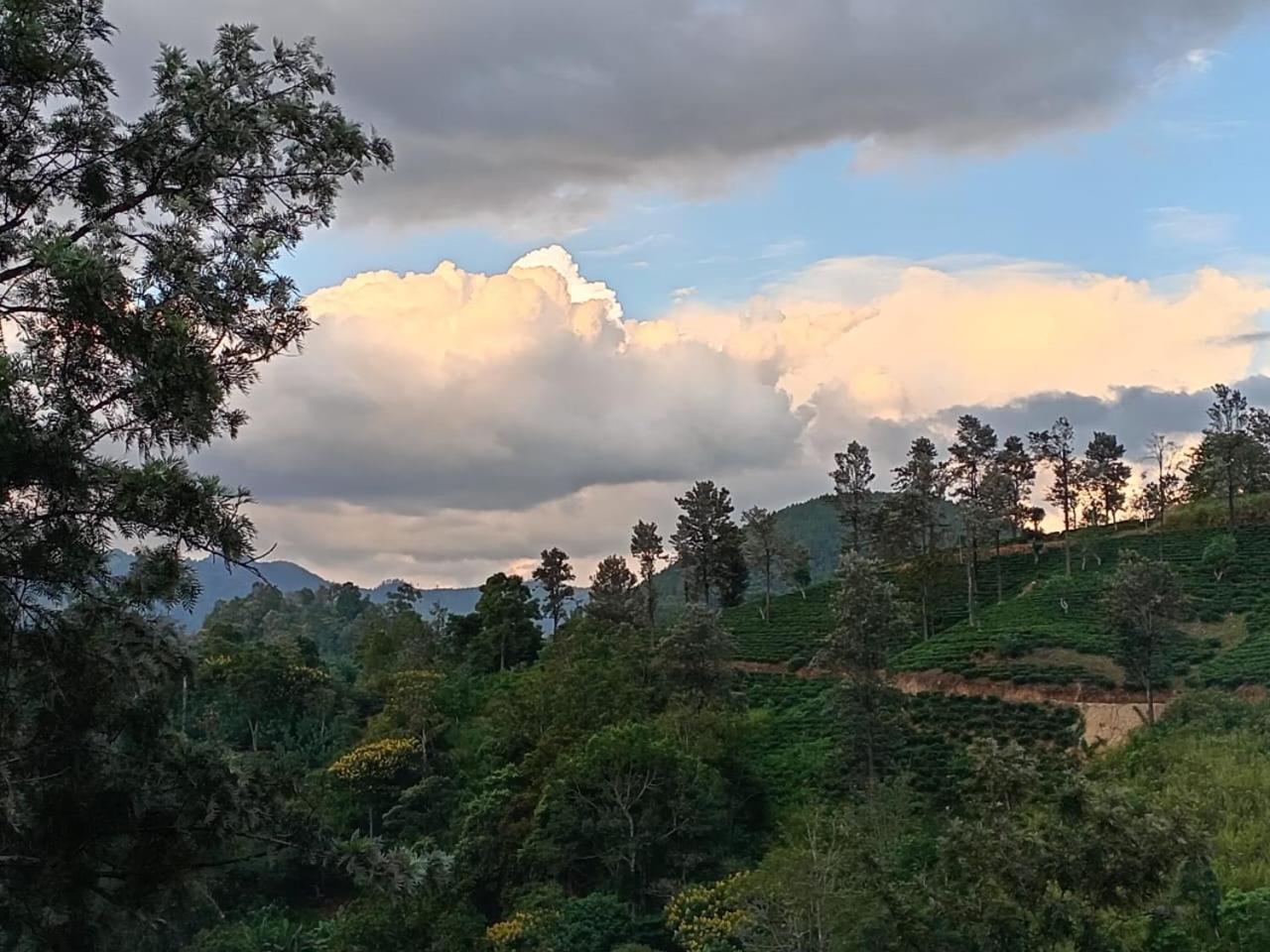 Privatunterkunft Aura View *